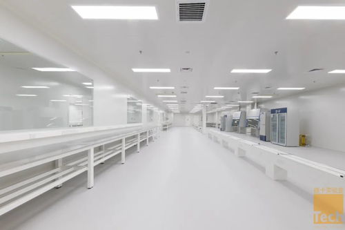 德卡實(shí)驗(yàn)室優(yōu)秀項(xiàng)目“賦源生物研發(fā)中心”順利竣工，助力惟物實(shí)驗(yàn)室邁向新篇章