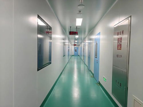 中原醫(yī)學(xué)科學(xué)城動物實(shí)驗(yàn)室投用 惟物實(shí)驗(yàn)室開啟生命科學(xué)研究新篇章