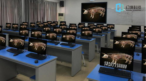 動物虛擬解剖系統(tǒng) 惟物實(shí)驗(yàn)室引領(lǐng)數(shù)字動物解剖學(xué)與實(shí)驗(yàn)課程改革